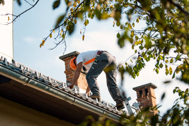 Best Roof Replacement Cost  in Alamae, NC