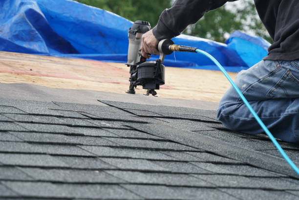 Best Roof Maintenance Services  in Alamae, NC