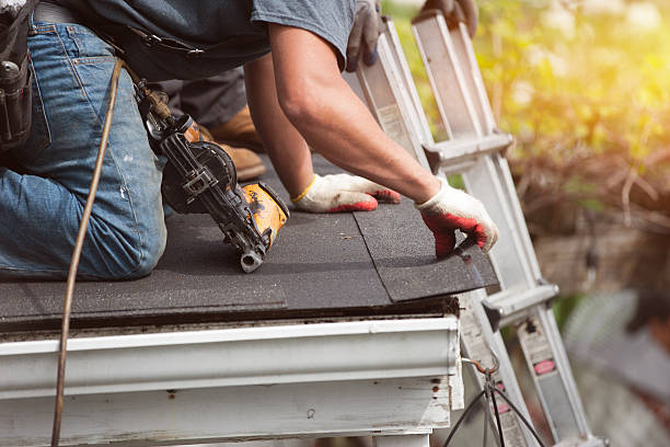 Roof Gutter Cleaning in Alamance, NC